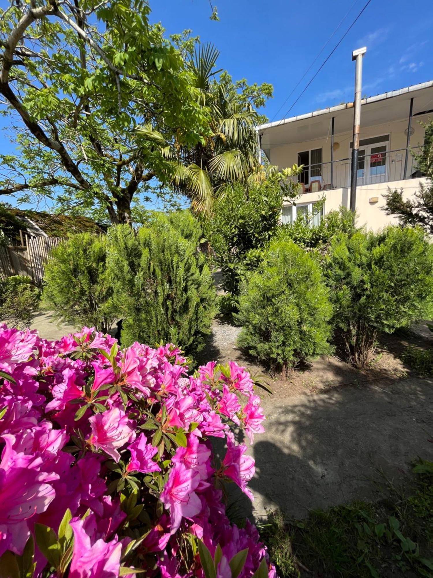 Ureki Beach Apartment Экстерьер фото